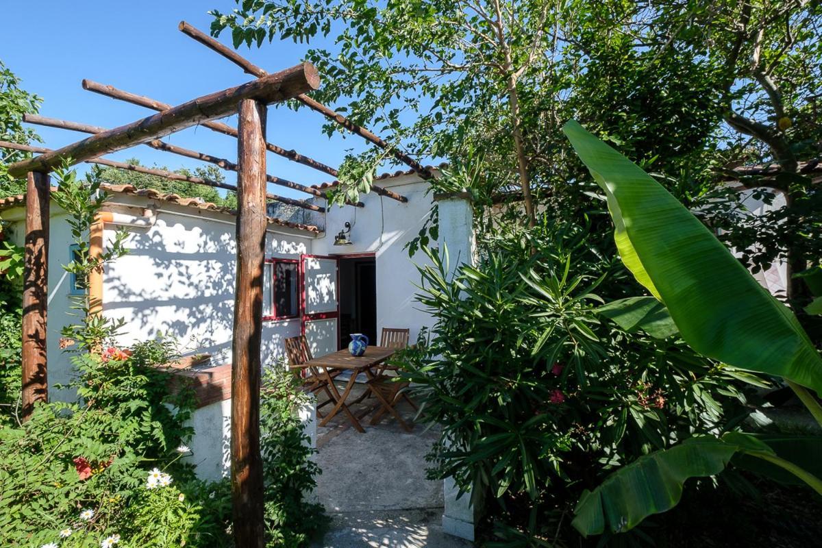 Aparthotel La Rosa Dei Venti Procida Exteriér fotografie