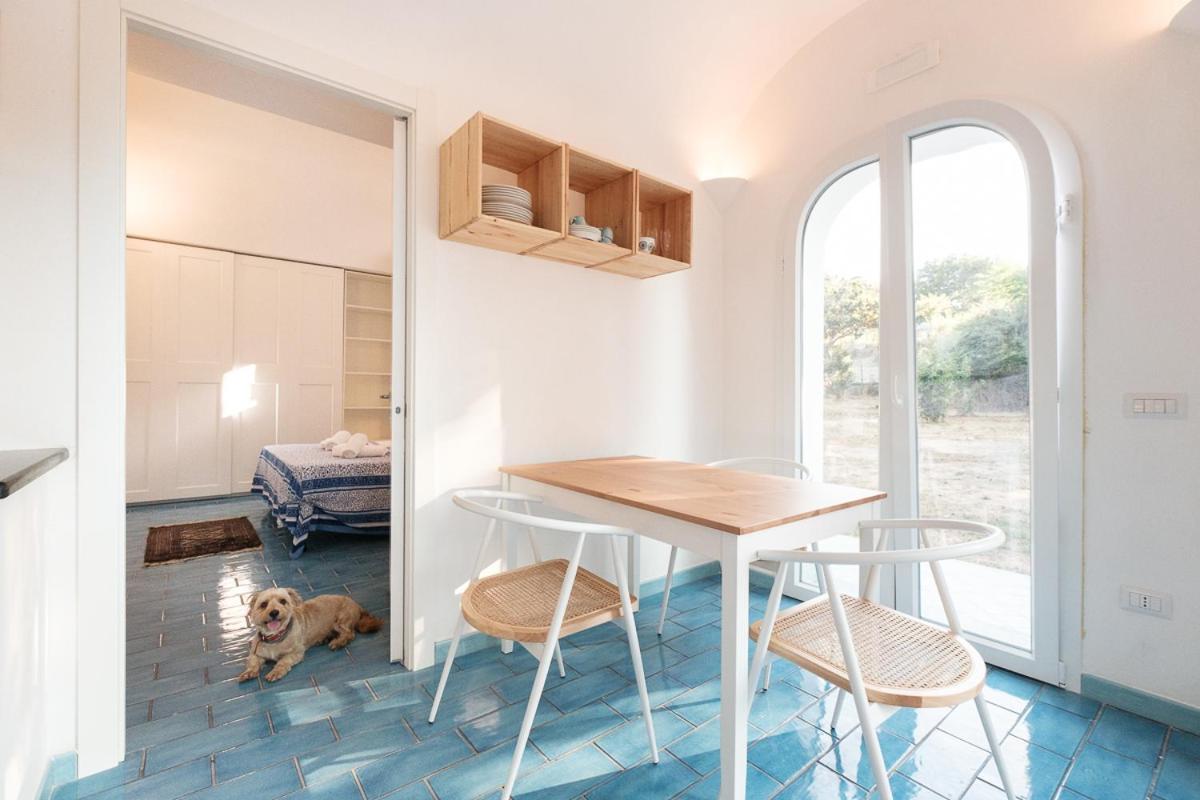 Aparthotel La Rosa Dei Venti Procida Exteriér fotografie