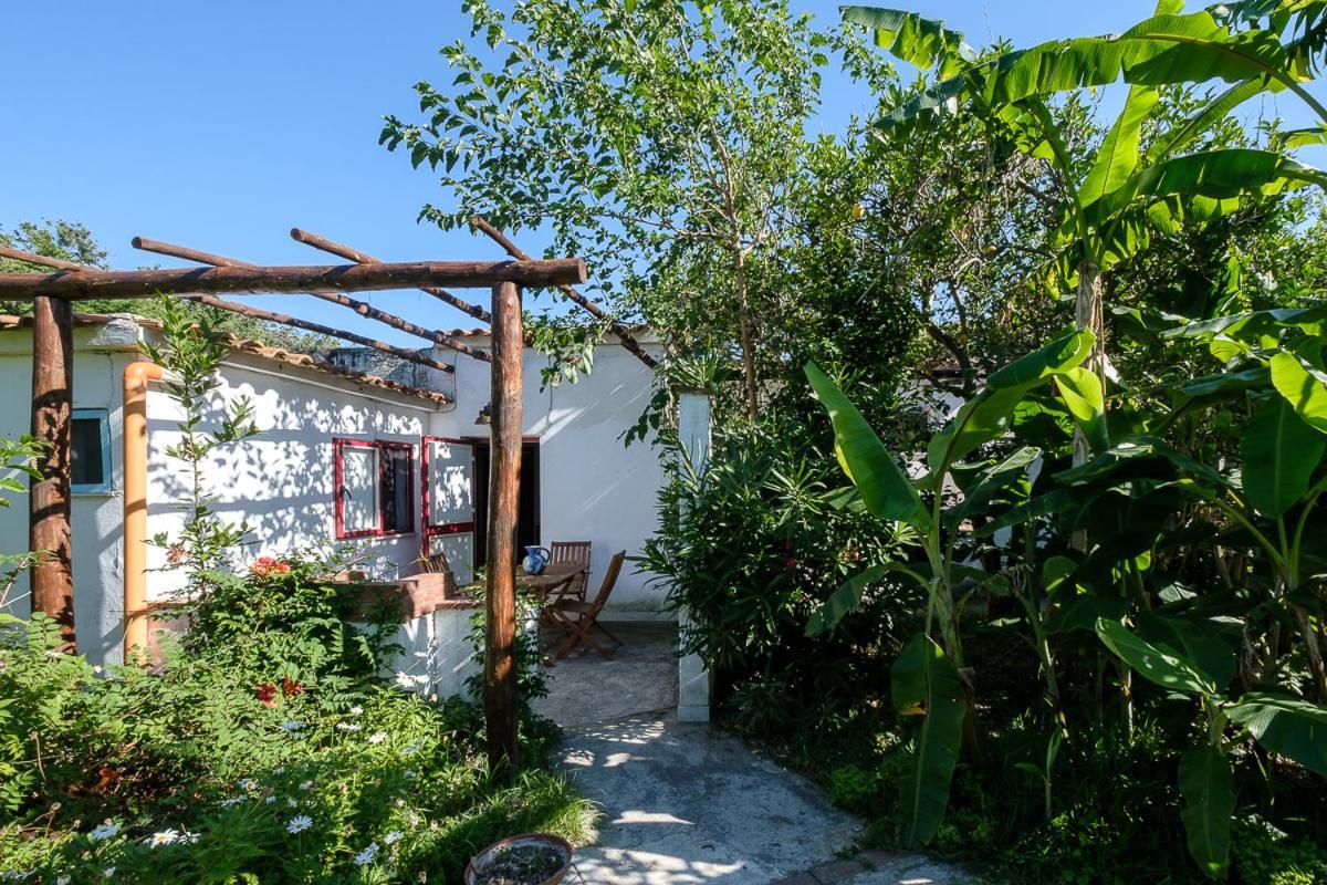 Aparthotel La Rosa Dei Venti Procida Exteriér fotografie