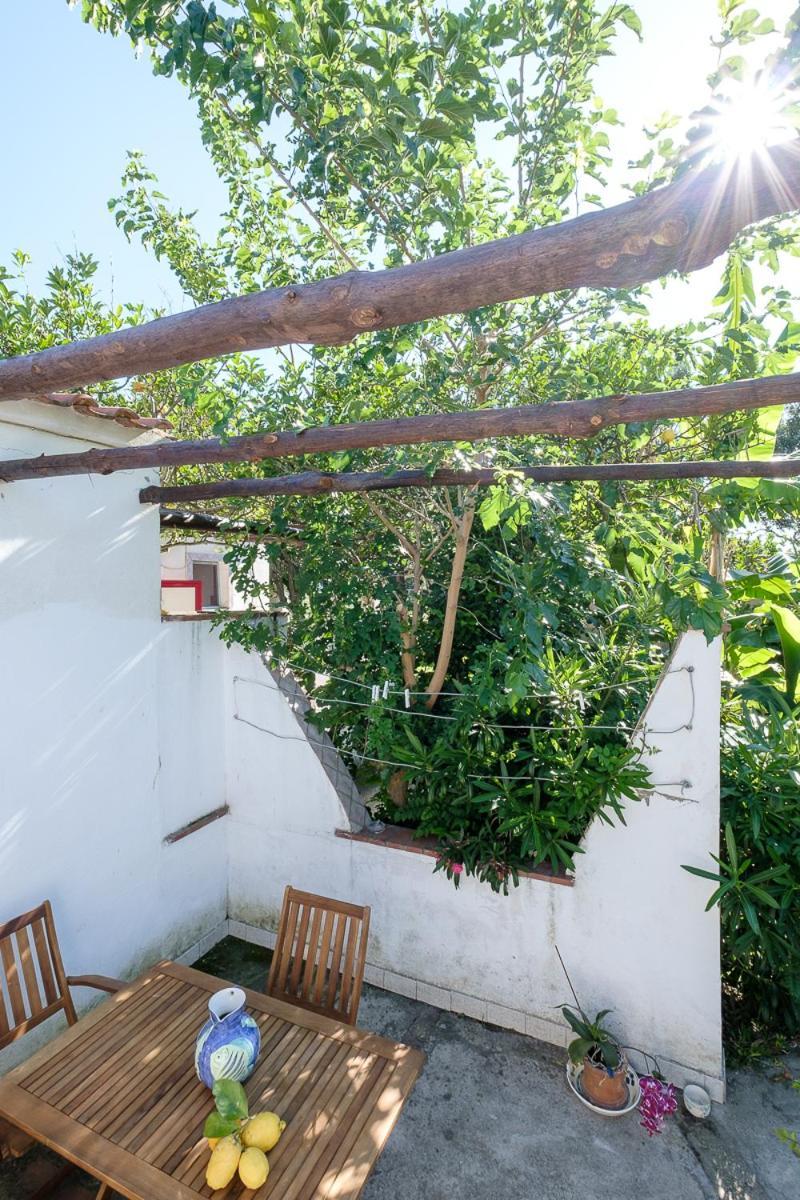 Aparthotel La Rosa Dei Venti Procida Exteriér fotografie