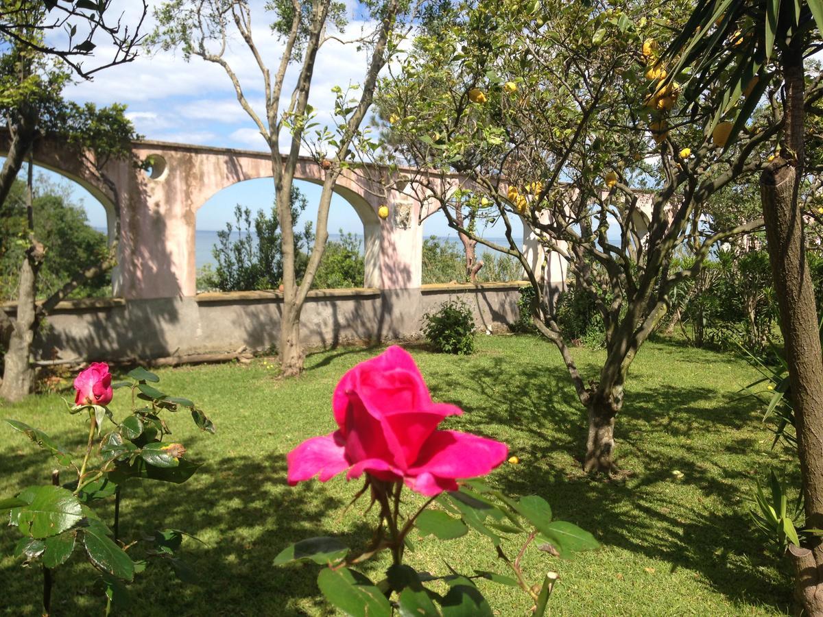 Aparthotel La Rosa Dei Venti Procida Exteriér fotografie